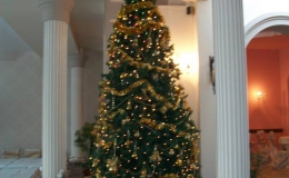 Hotel Ferdinand Hateg 15